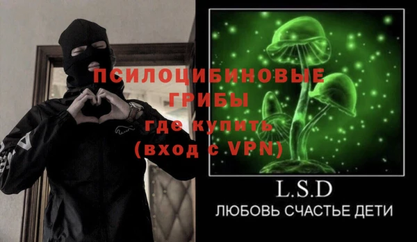 гидра Богородицк