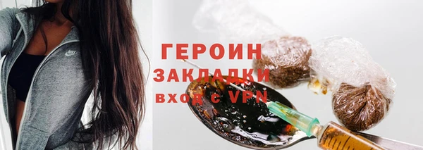 гидра Богородицк