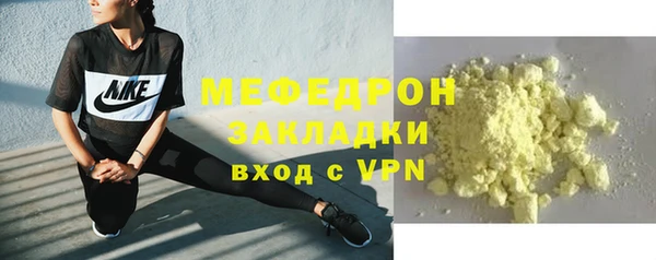 гидра Богородицк