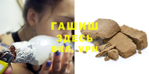 гидра Богородицк