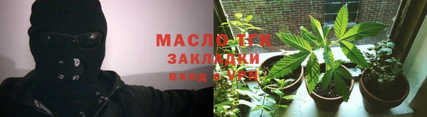 гидра Богородицк