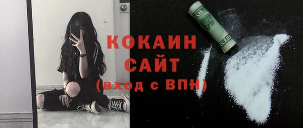 гидра Богородицк