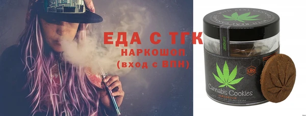 гидра Богородицк