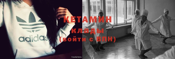 гидра Богородицк
