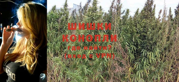 гидра Богородицк