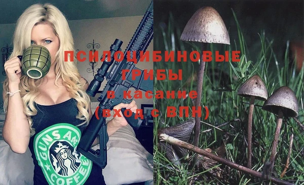 МДПВ Богданович