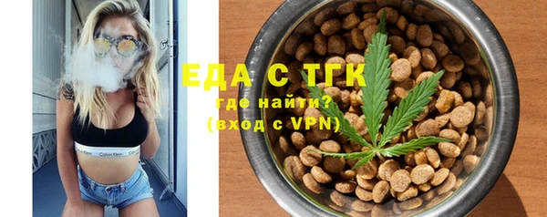 гидра Богородицк