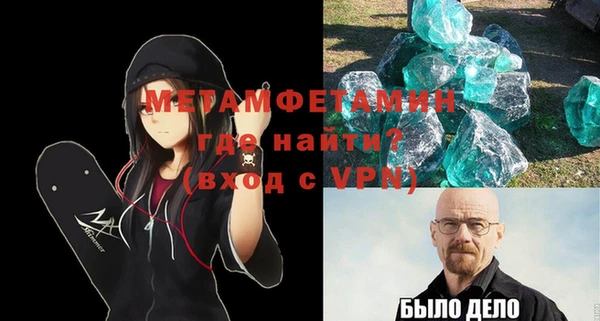 гидра Богородицк