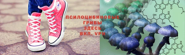 гидра Богородицк