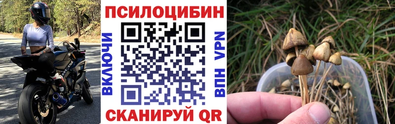 мориарти состав  Киров  Галлюциногенные грибы MAGIC MUSHROOMS 